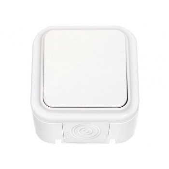 Выключатель 1 клав. (открытый, 6А, брызг. защ.) белый, Пралеска Аква, Bylectrica