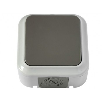 Выключатель 1 клав. (открытый, 6А, брызг. защ.) серый, Пралеска Аква, Bylectrica