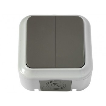 Выключатель 2 клав. (открытый, 6А, брызг. защ.) серый, Пралеска Аква, Bylectrica