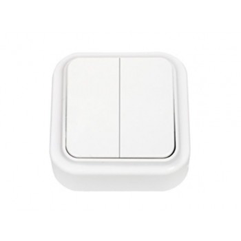 Выключатель 2 клав. (открытый, 6А) белый, Пралеска, Bylectrica