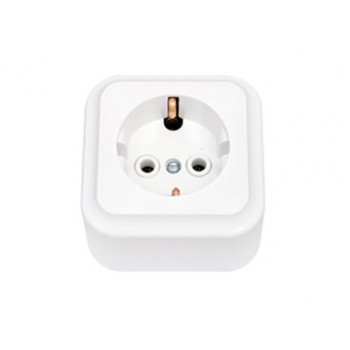 Розетка 1-ая (открытая, с/з) белая, Пралеска, Bylectrica