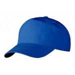 Кепи-бейсболка (василек) застёжка-пластик