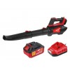 Аккум. воздуходувка WORTEX BB 1218-1 D XLT SET БЕСЩЁТ., 18В, 440-720 м.куб/ч, 92-152 км/ч Аккум. воздуходувка WORTEX BB 1218-1 D XLT SET БЕСЩЁТ., 18В, 440-720 м.куб/ч, 92-152 км/ч